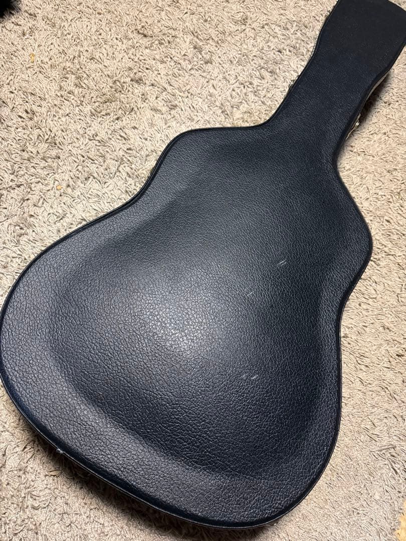 Martin & Co. 黒いレザーギターケース