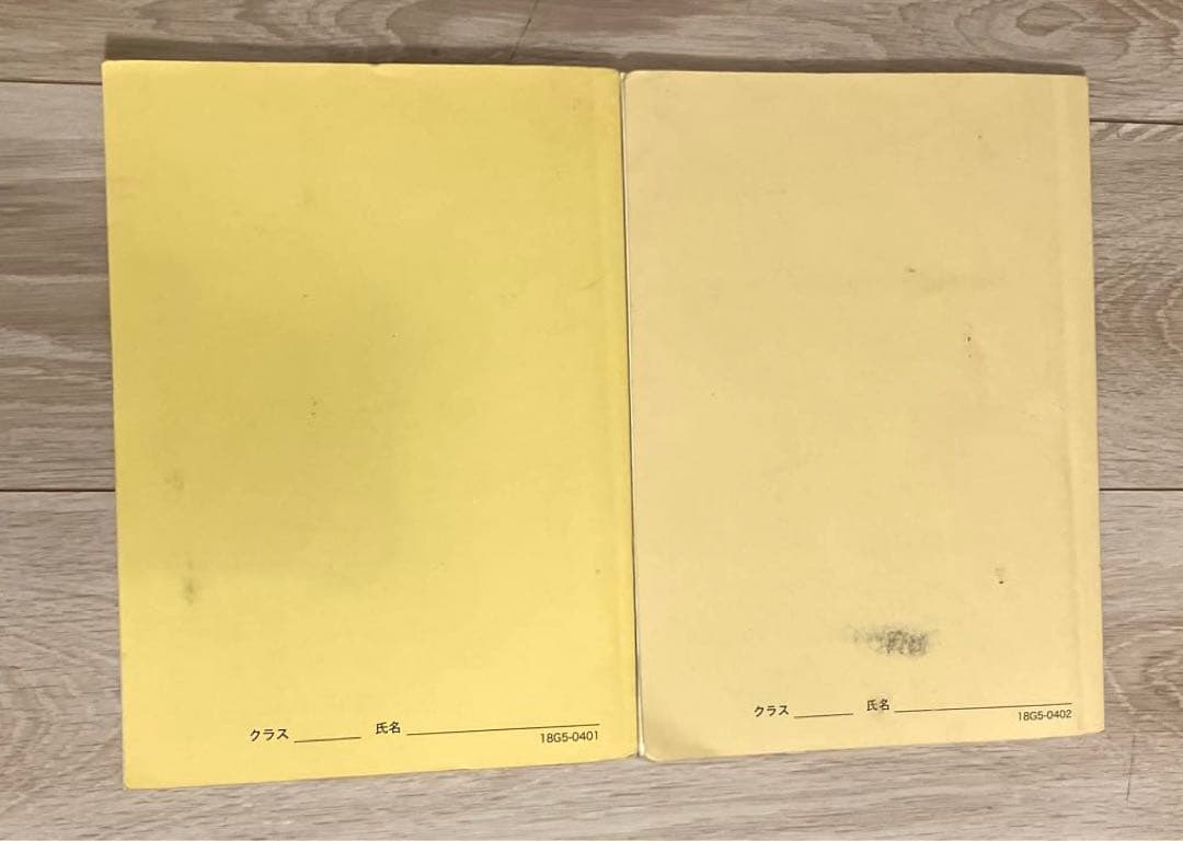 【匿名配送✨まとめ売り】鉄緑会 高2 前期化学　問題集　授業プリント　旧帝大受験