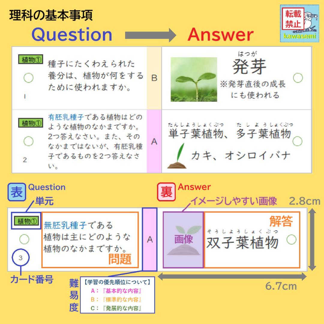 カット済 【中学受験】理科の基本事項 知識編 理科 暗記カード フルセットc