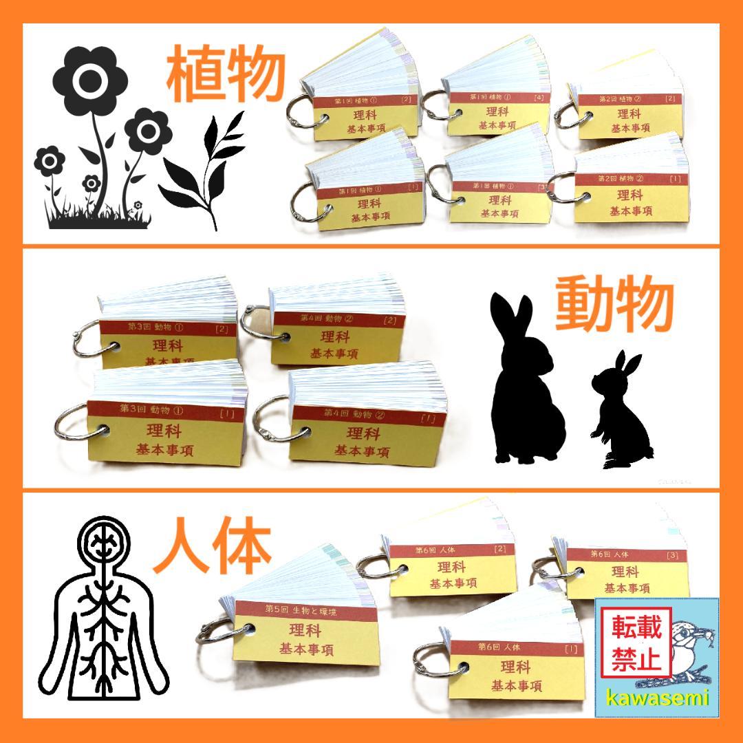 カット済 【中学受験】理科の基本事項 知識編 理科 暗記カード フルセットc