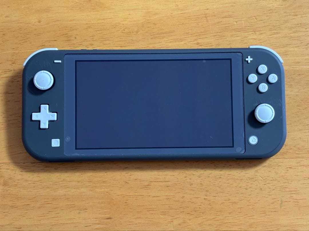 Nintendo Switch Lite グレー 本体　ケース　カバー付き