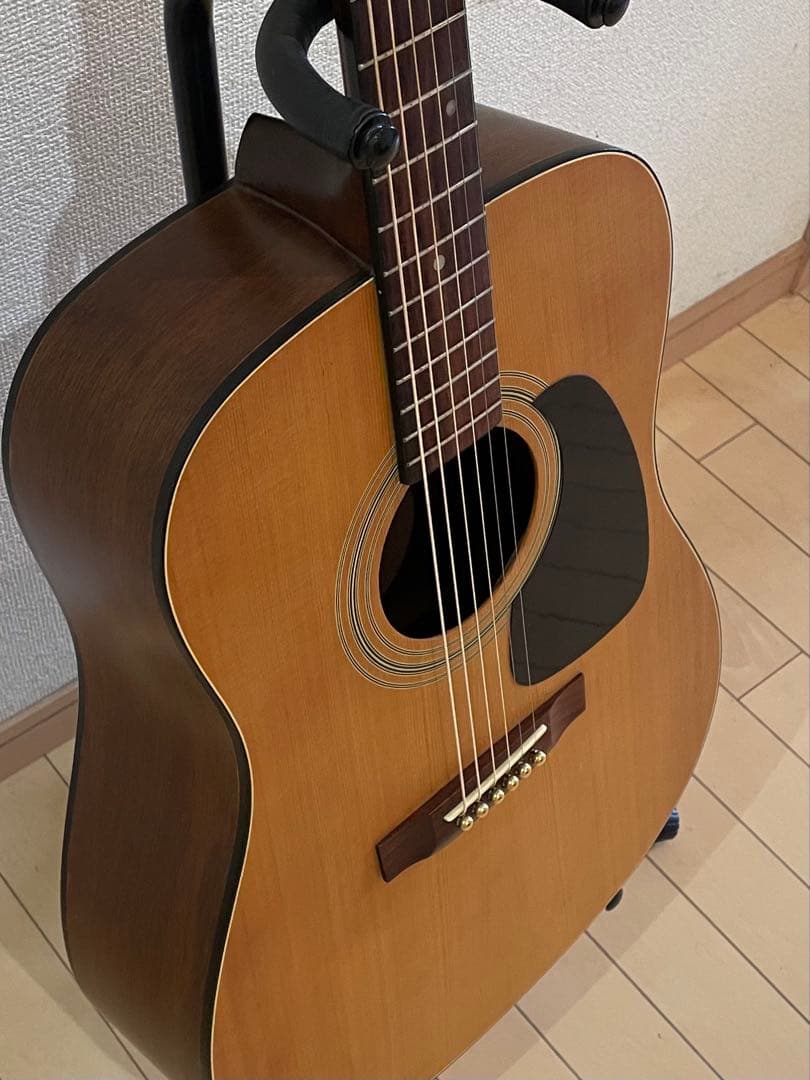 Takamine アコースティックギター