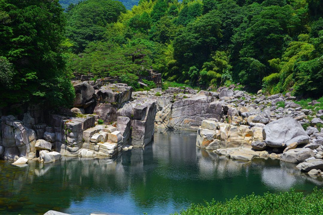 ピ*カ様 Nikon 24mm f/2.8 単焦点レンズ