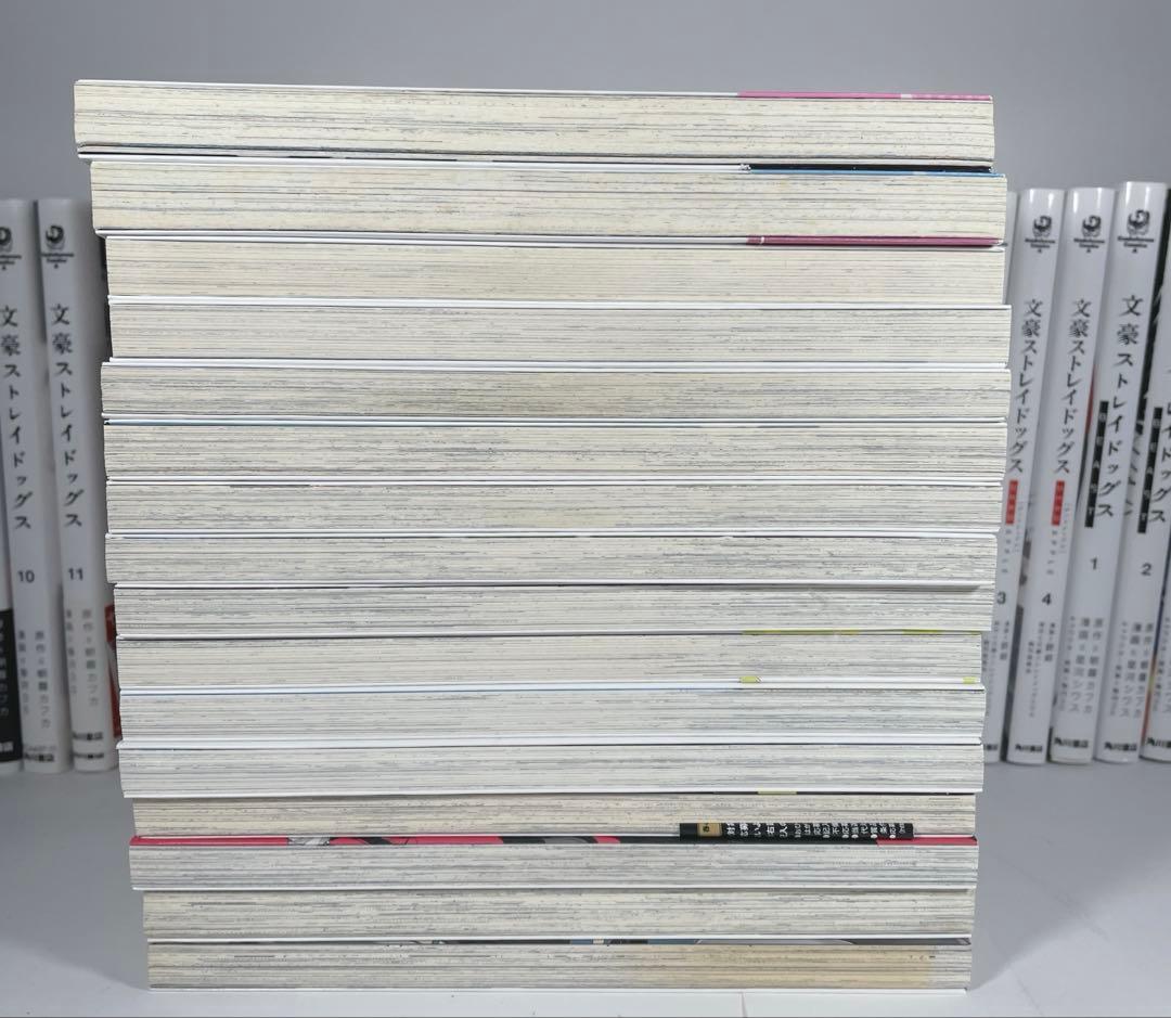 文豪ストレイドッグス1〜27 全巻　関連本32冊付き