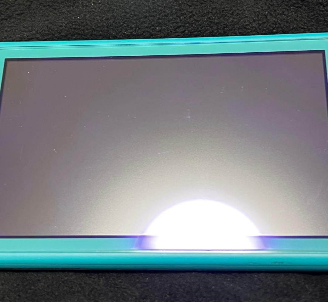 Switchライト　ターコイズ　本体とケースのみ