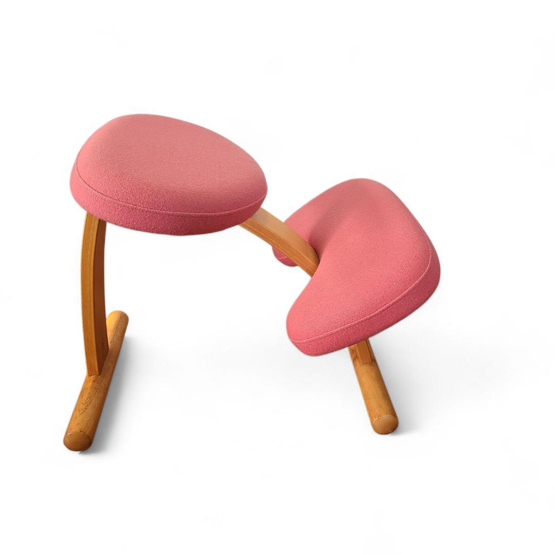 バランスチェア Balans EASY バランスイージー Rybo社