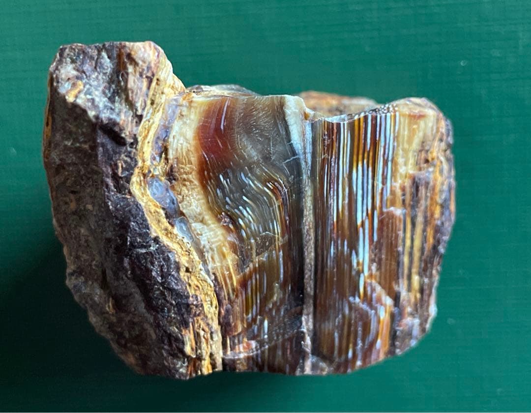 珪化木 花巻市 木目クッキリ❗️ 貴重‼️