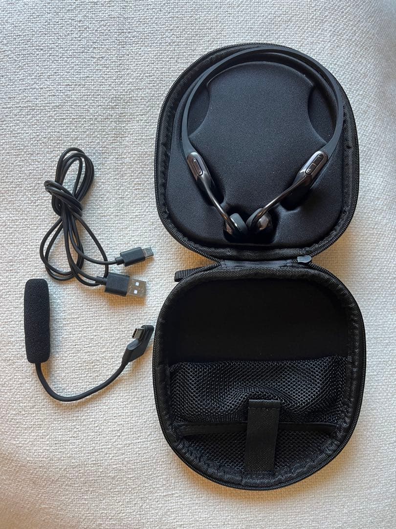 AVIOT ワイヤレスイヤホン WB-E1M　メタリックブラック　マイク付