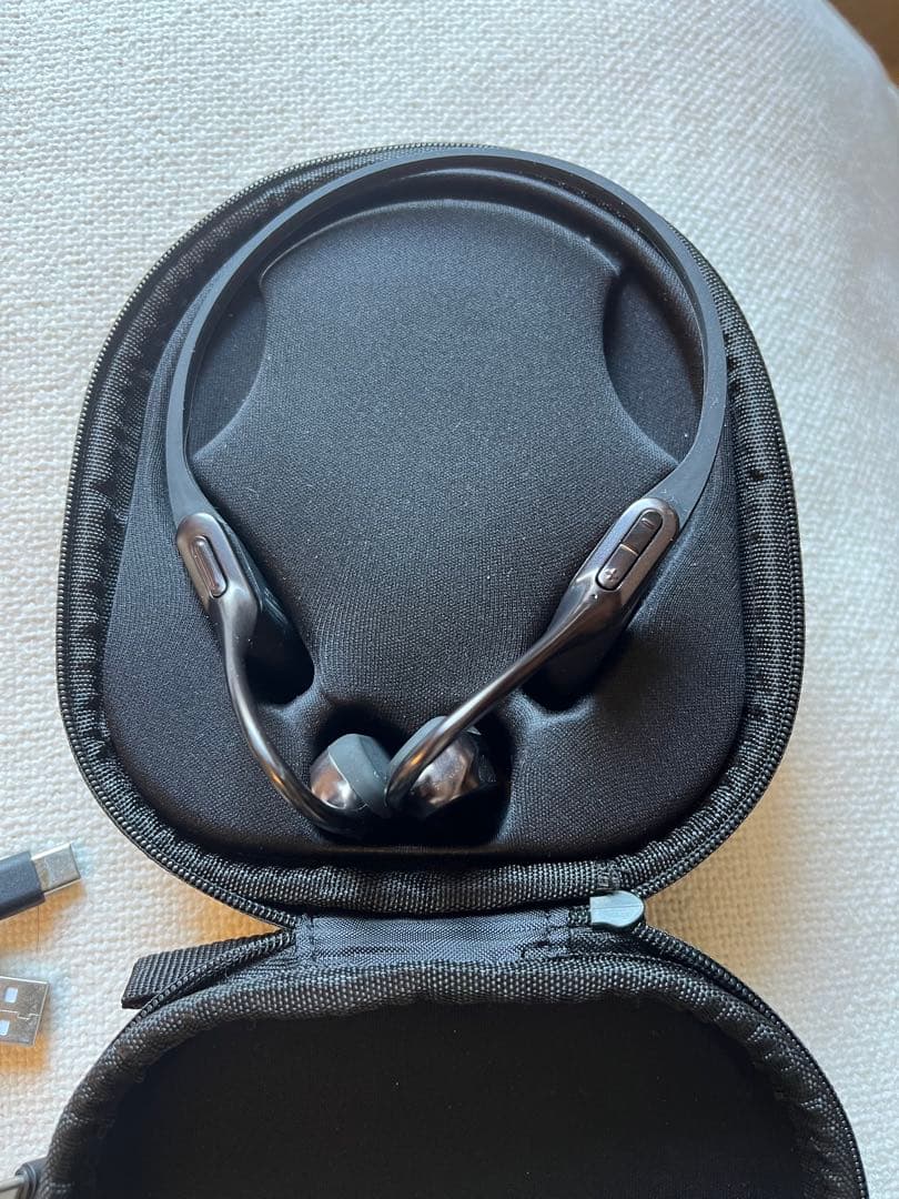 AVIOT ワイヤレスイヤホン WB-E1M　メタリックブラック　マイク付