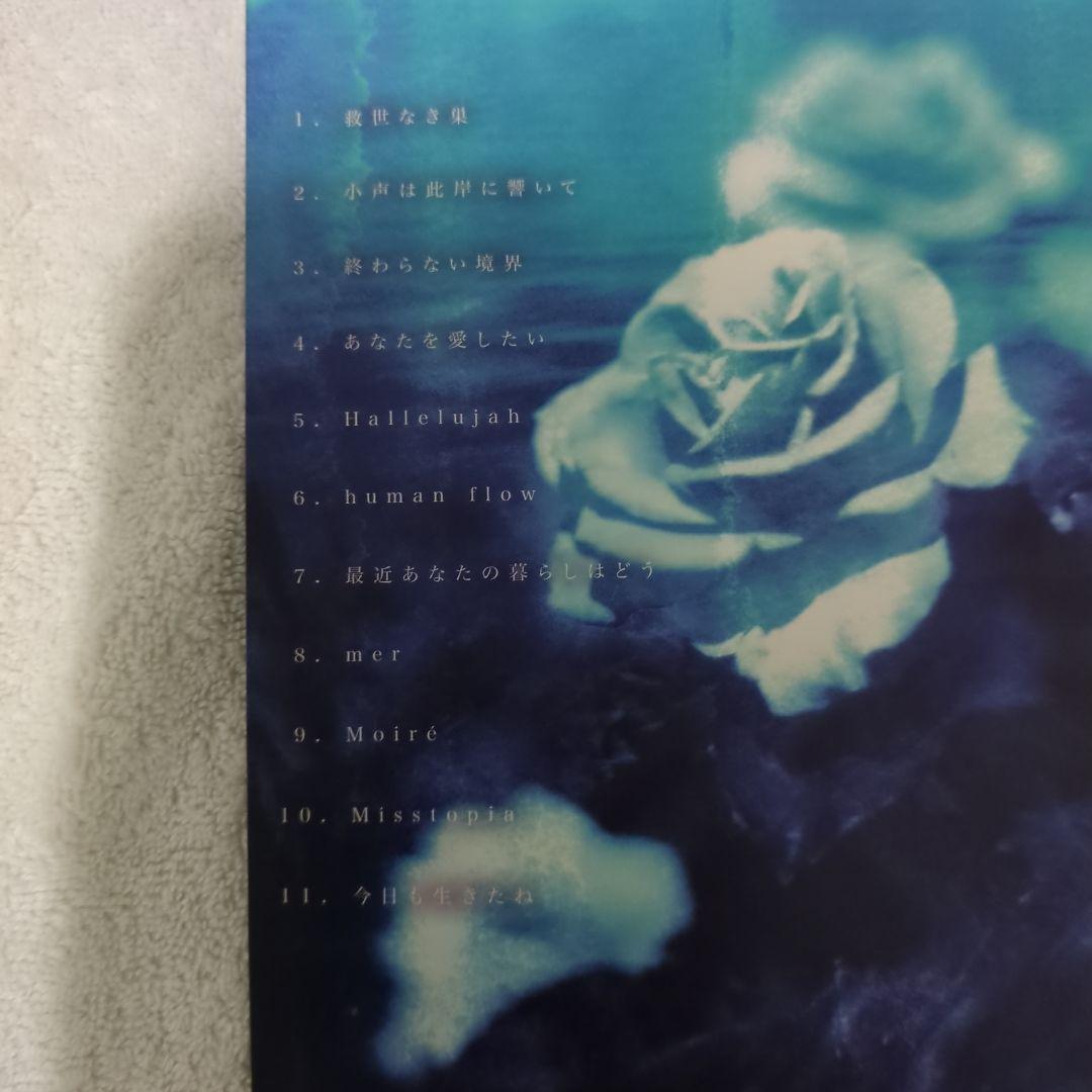 THE NOVEMBERS ROSES 2枚組 CD＋DVD