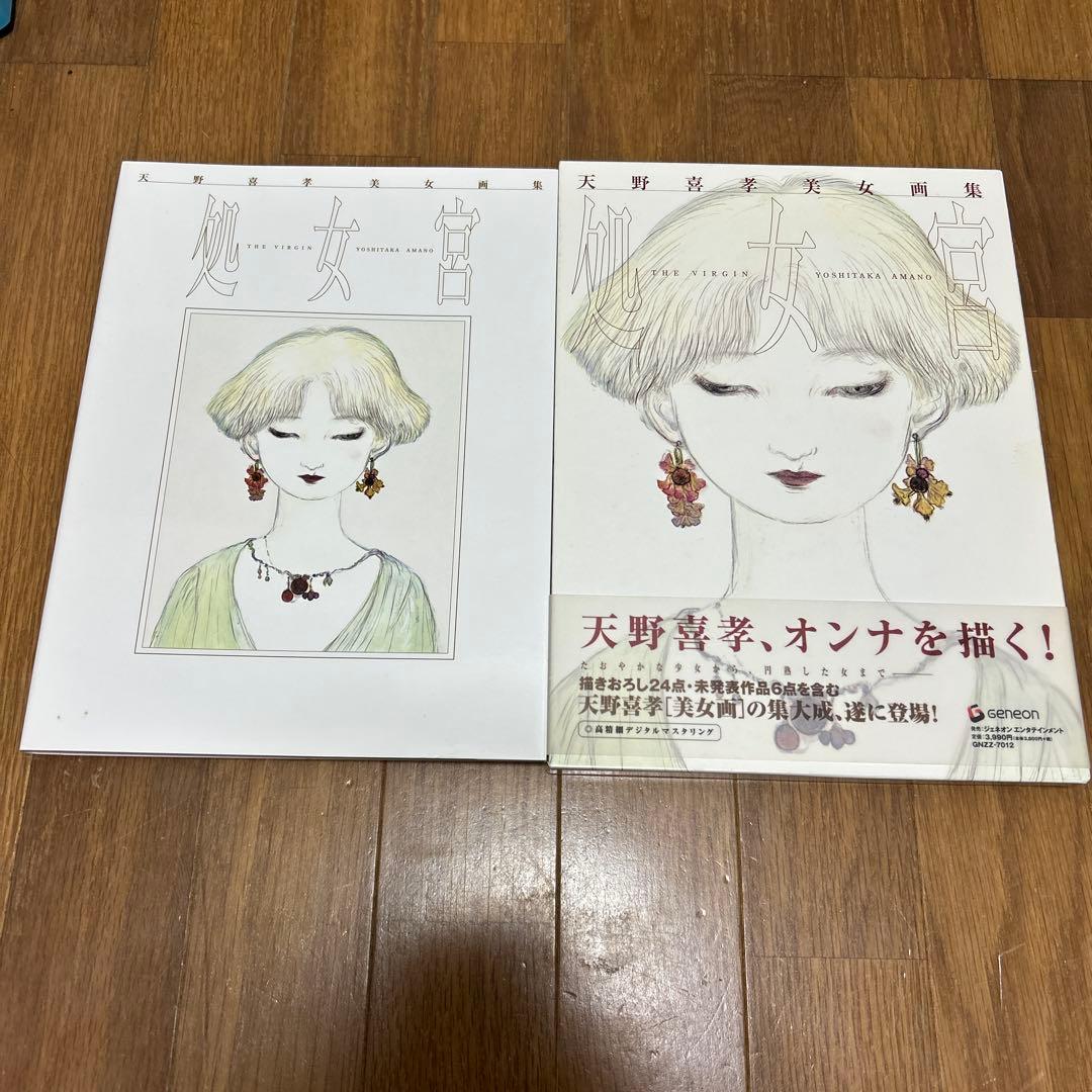 希少　【絶版　初版】　天野喜孝 美女画集 処女宮