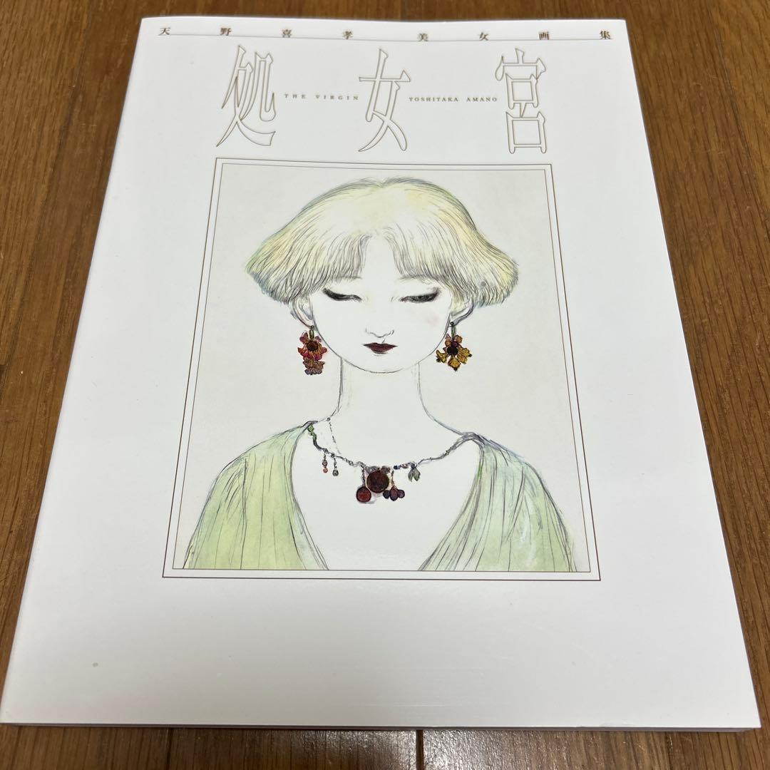 希少　【絶版　初版】　天野喜孝 美女画集 処女宮
