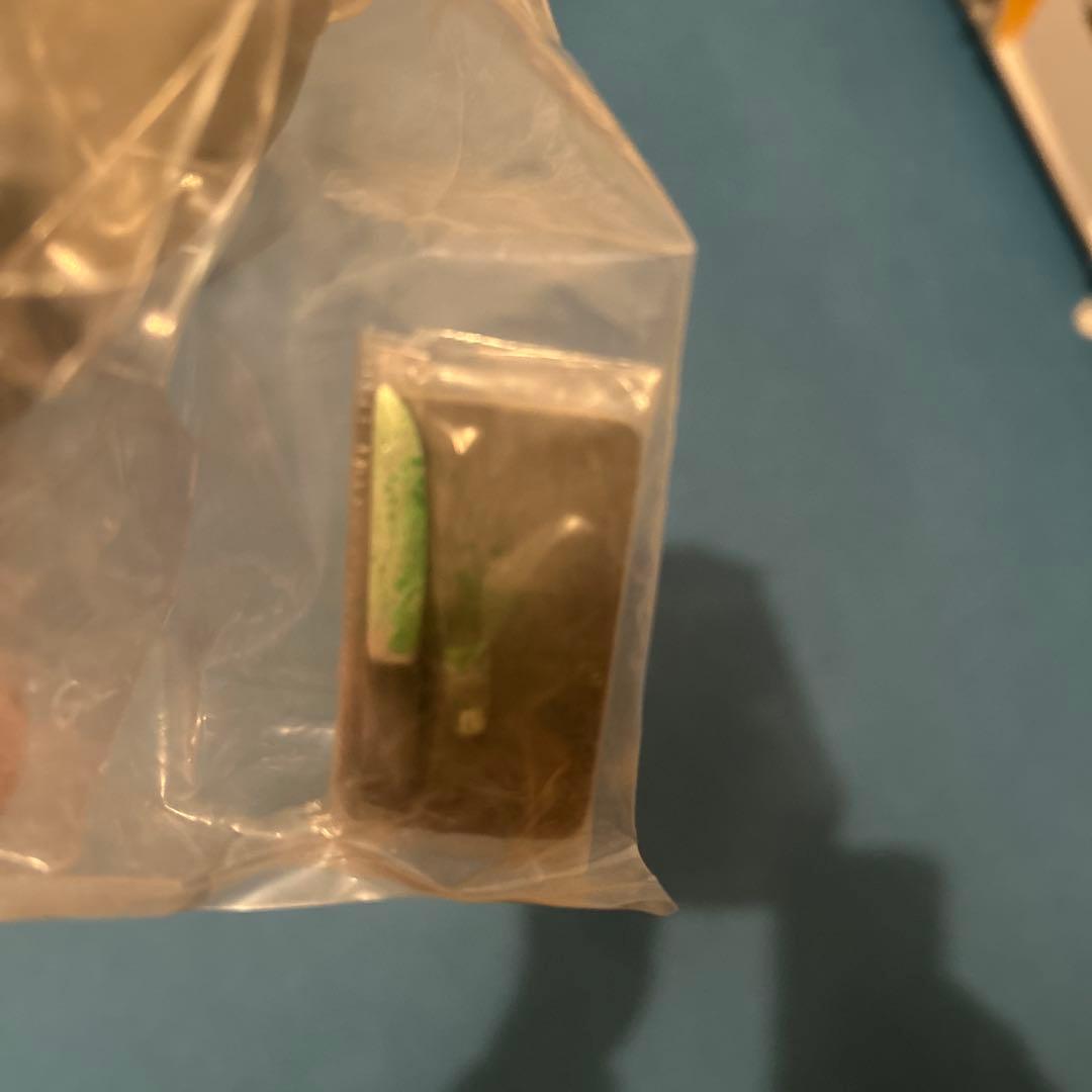 Crowds of Hoods フィギュア My F*ckin Einstein