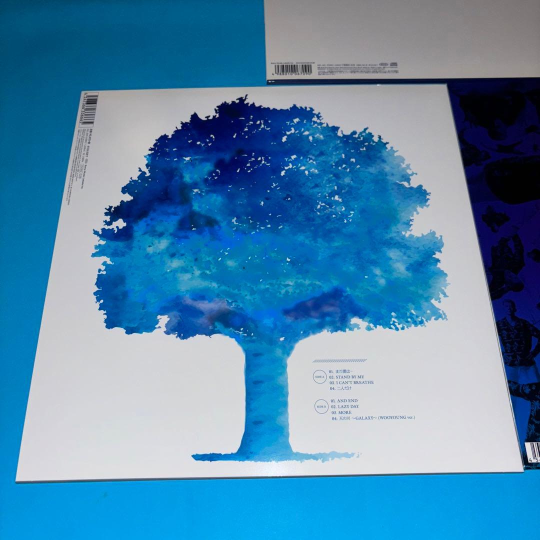 【セット】LP 2PM ウヨン 完全生産限定 アナログ盤　CD