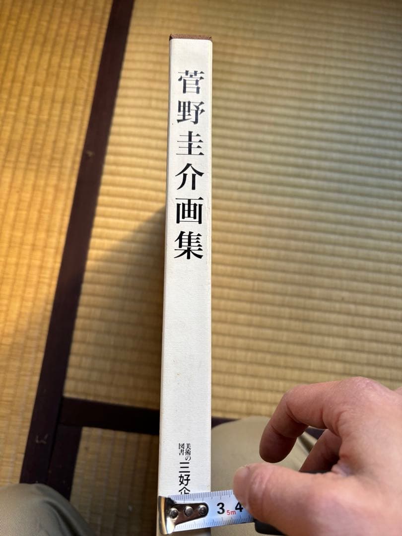 菅野圭介画集 : 天衣無縫の天才画家鎮魂の譜 限定500部
