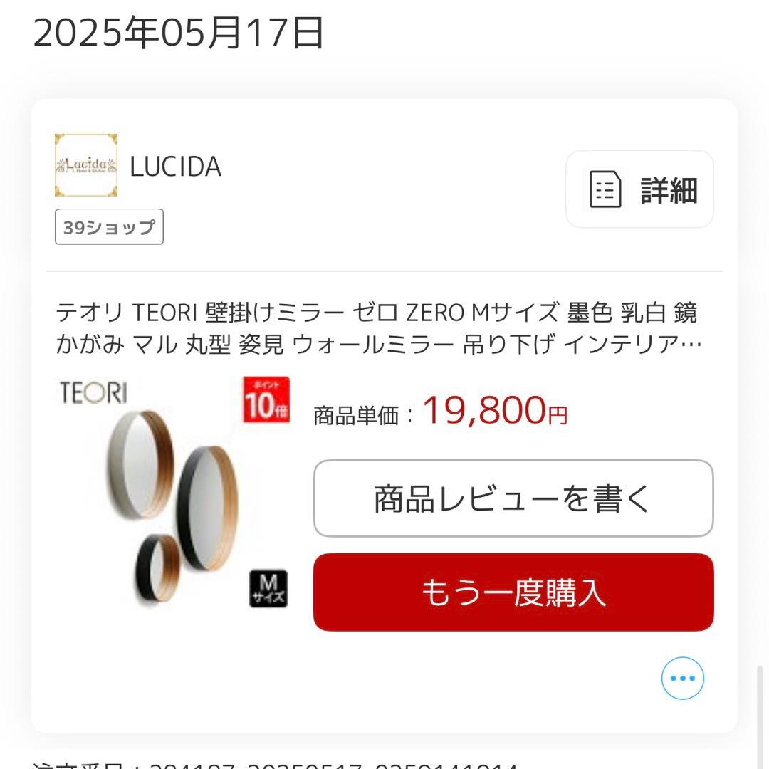 テオリ TEORI ミラー ZERO Mサイズ 鏡