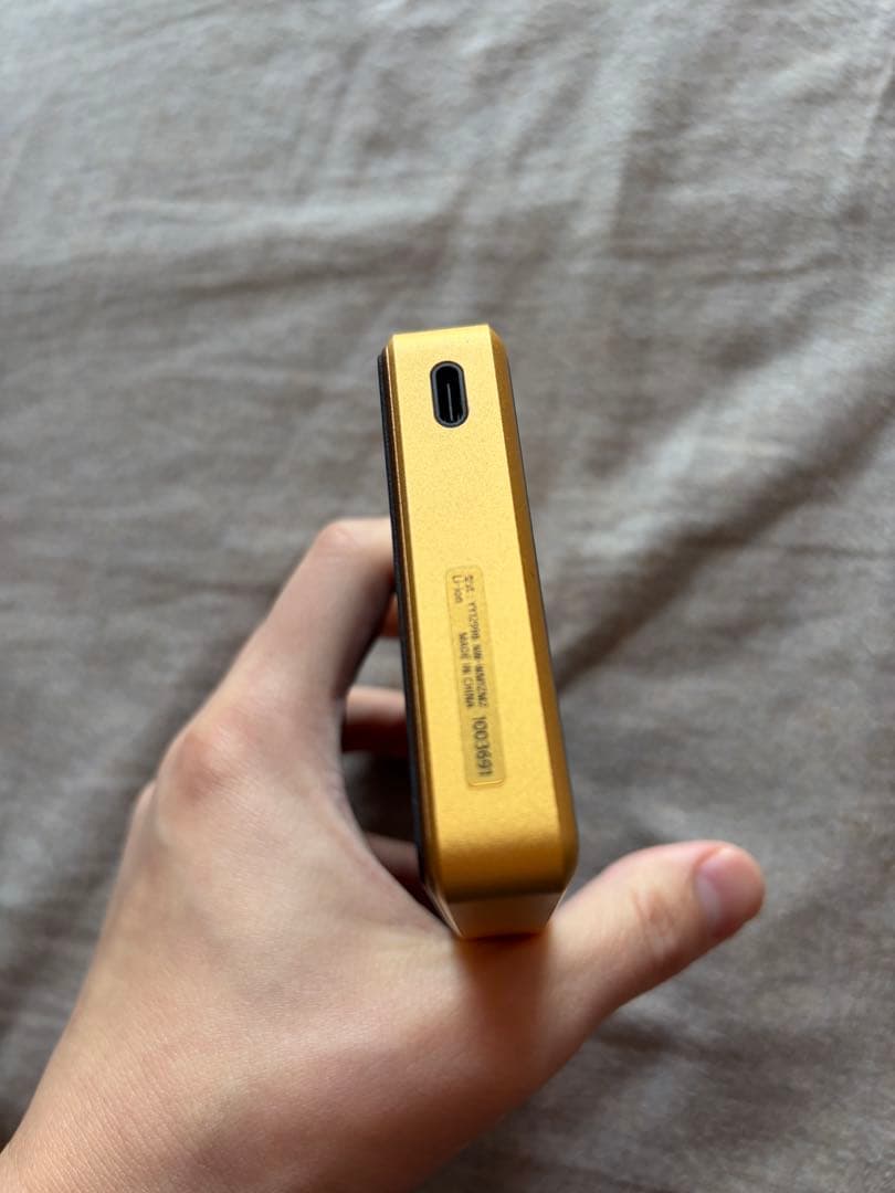 SONY NW-WM1ZM2 ゴールド　ケース付き