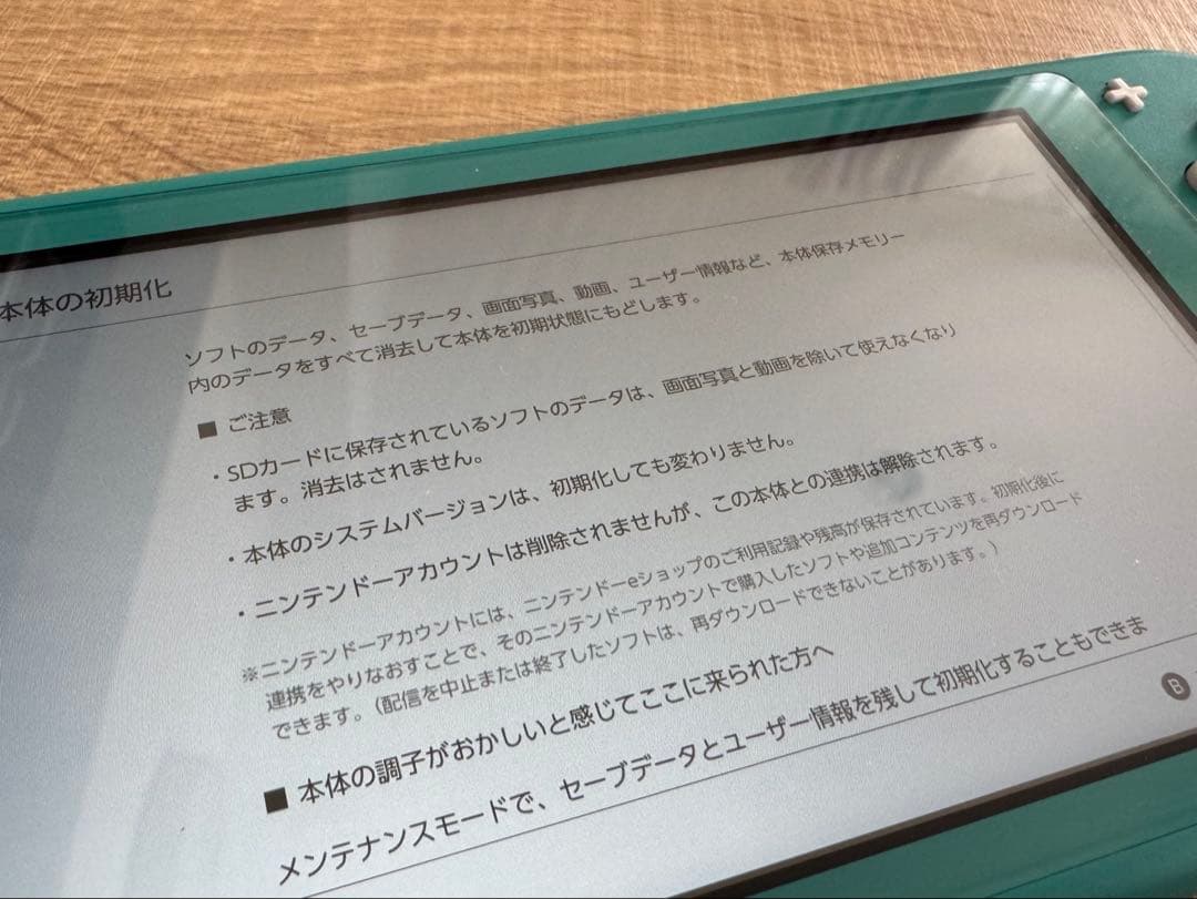 【美品完品】Nintendo Switch Lite 本体　ターコイズ