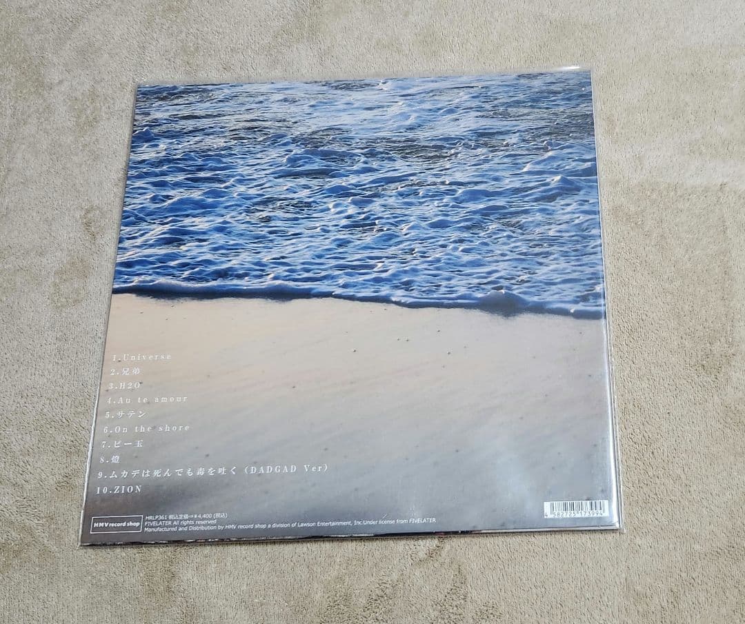 【アナログ】 踊ってばかりの国 / On the shore