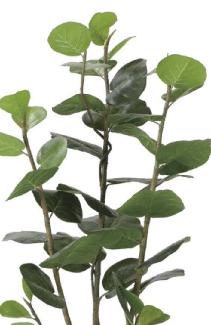 光触媒　人工観葉植物　ウォールグリーン　アーバンシーグレープ1.35