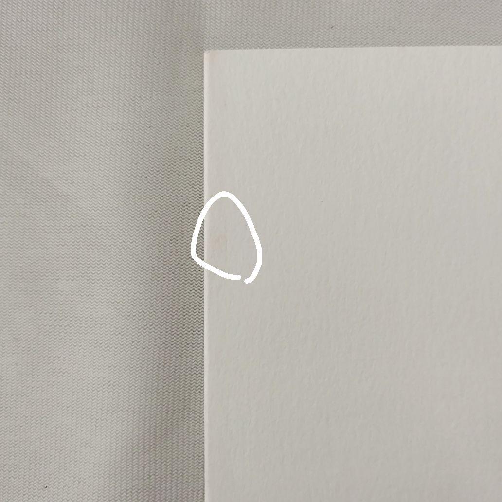 TYPE-MOON　月姫読本(白本)　奈須きのこ　希少品