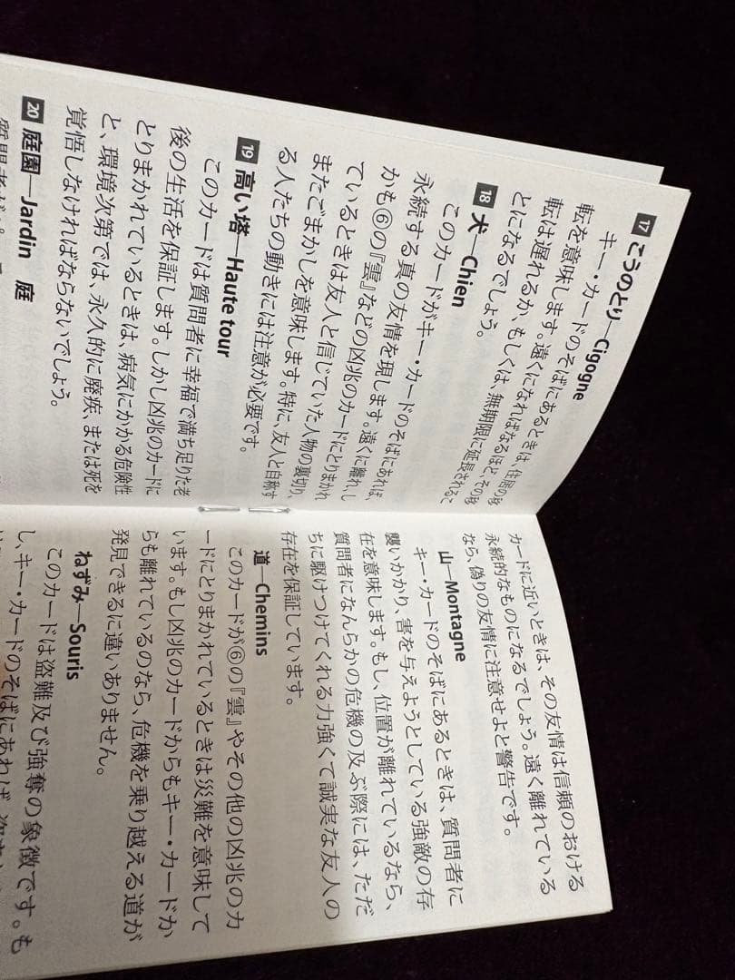 いちばんていねいなルノルマンカード占い　カードセット