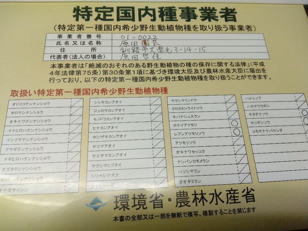 雅*谷様 山野草・アツモリソウ・礼文アツモリソウ