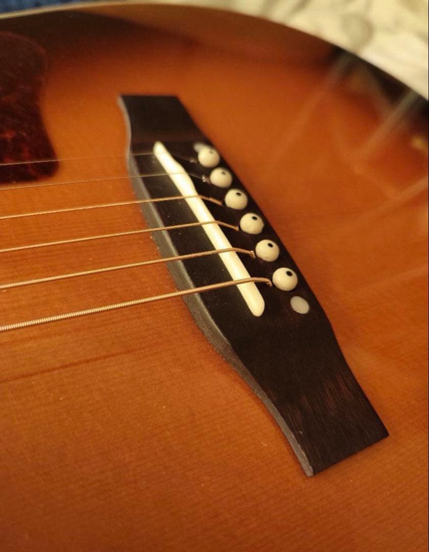 ⭐️美品Headway HJ-5080SE エレアコ GOTOHペグ 輸送用HC付