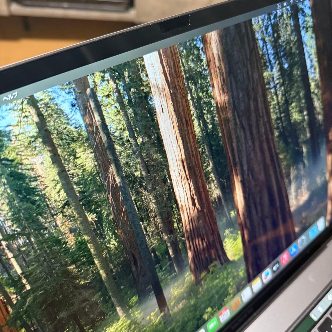 Apple MacBook Pro 2019 i9 16インチ 1TB 16GB