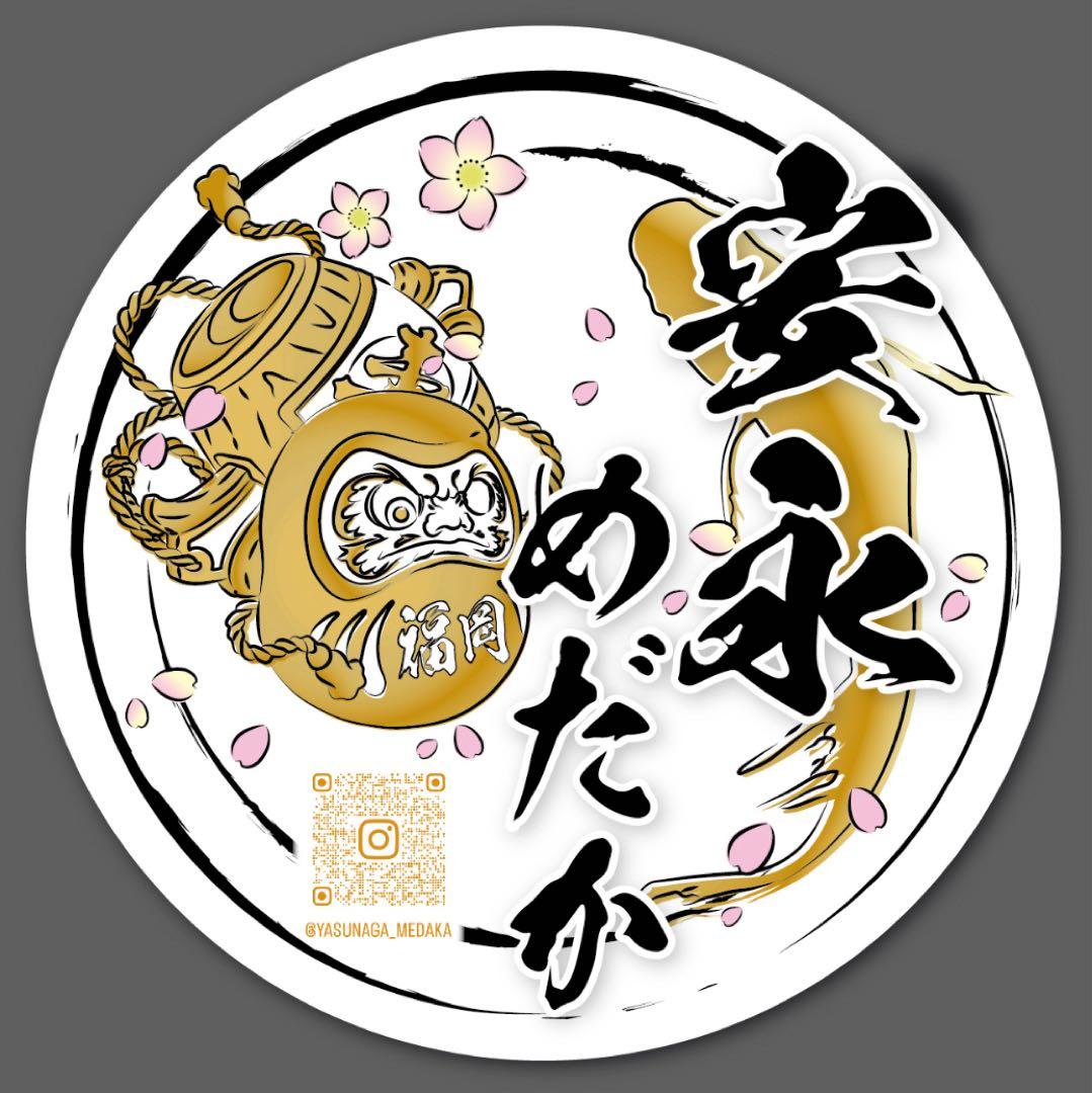 大人気【安永めだか】メダカ横見ケース-水槽- 超お得4個セット