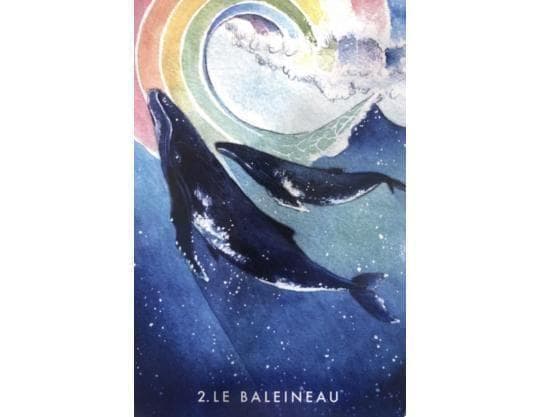 【正規品オラクルカード】水彩画の美麗イラスト✨イルカやクジラに会える海のデッキ