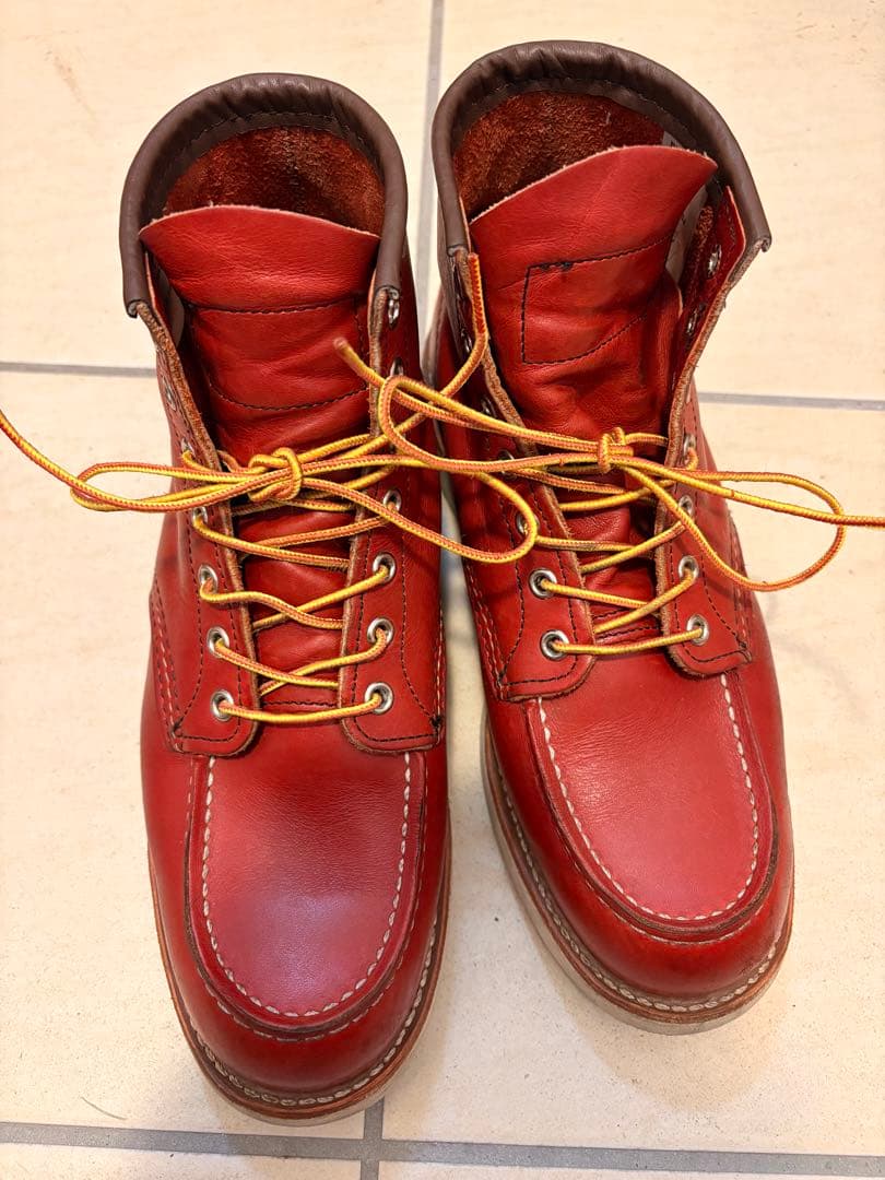 レッドウイング　犬タグ　8875 E 26センチ