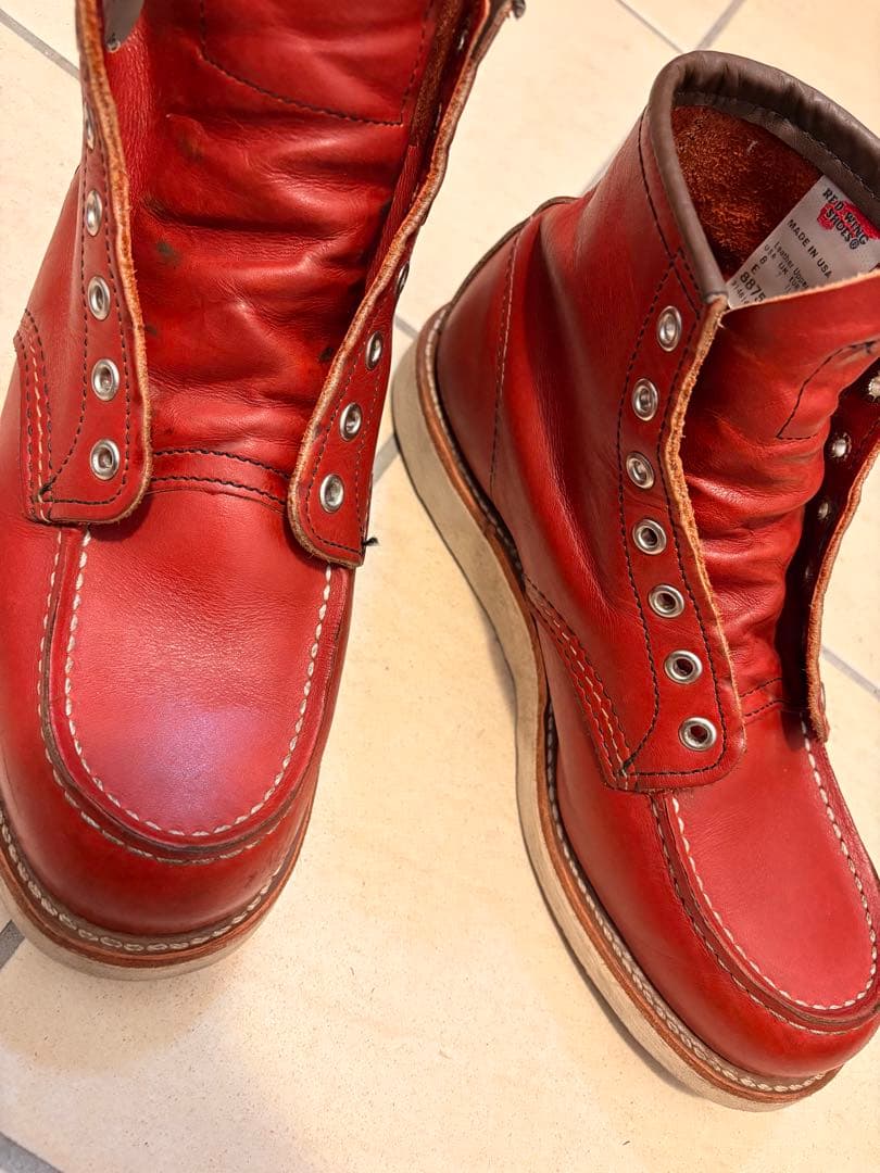 レッドウイング　犬タグ　8875 E 26センチ