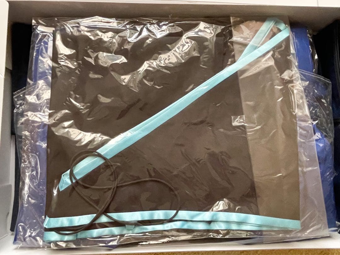 東京大学　アカデミックガウン　修士（Mサイズ）