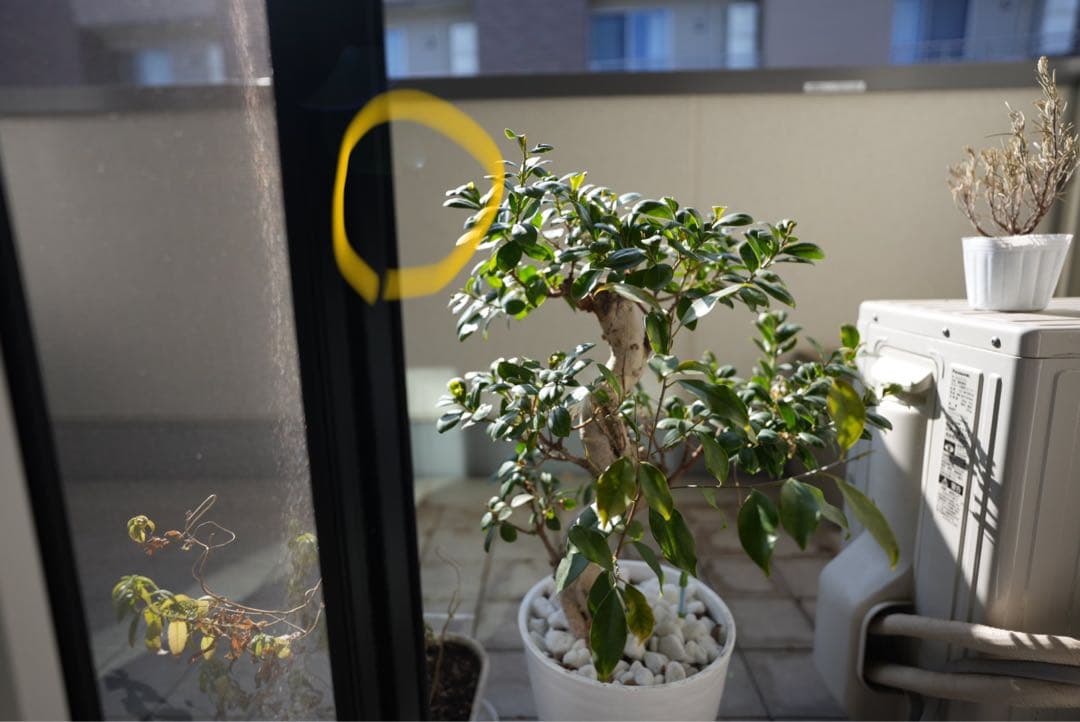 SONY Eマウント 20mm 単焦点レンズ