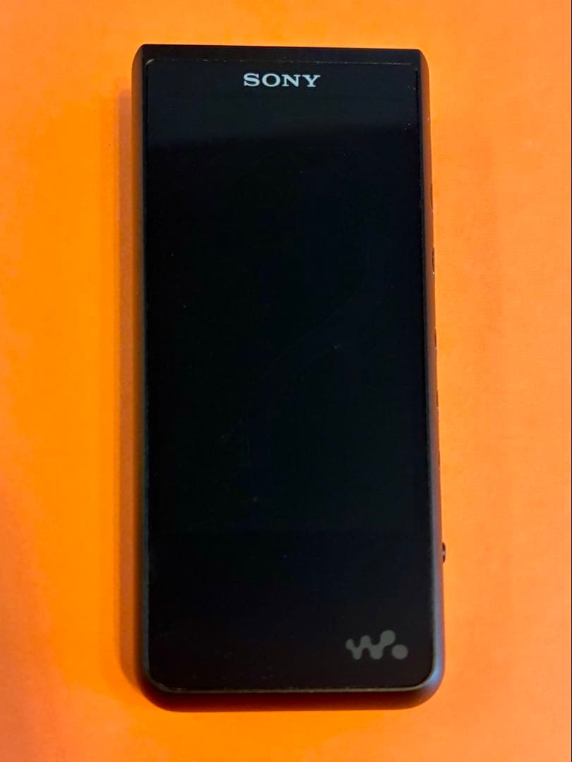 SONY ウォークマン NW-ZX507イヤホンセット【動作確認・初期化済】