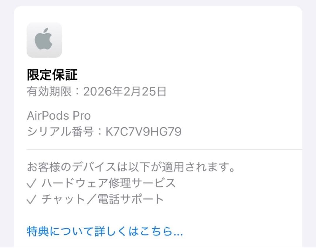 超美品 【限定保証付】Apple AirPods Pro 第二世代 USB-C