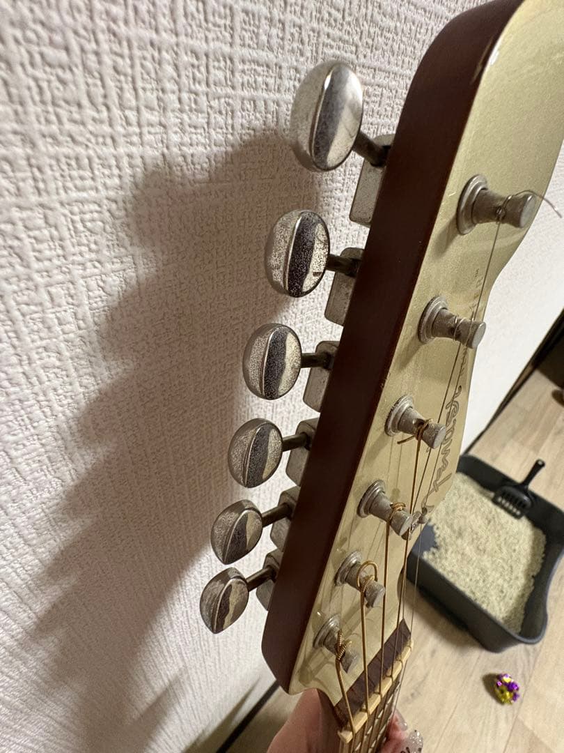 Fender California Series エレアコ