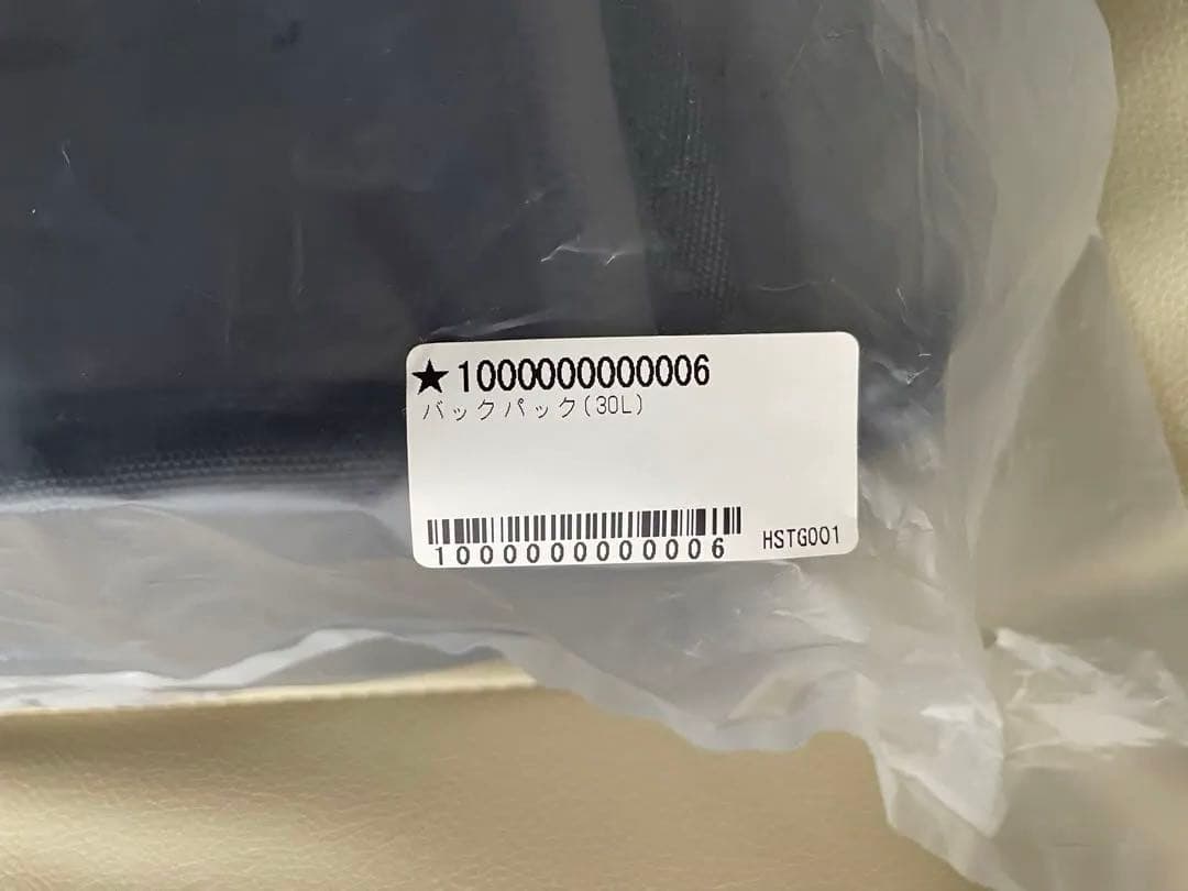 阪神タイガース バックパック 透明ポケット付き