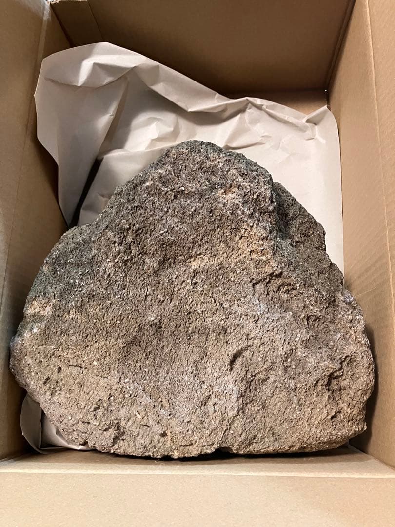 山渓鉢　希少　ガーデニング　苔　山野草　盆栽　多肉植物　テラリウム　溶岩石