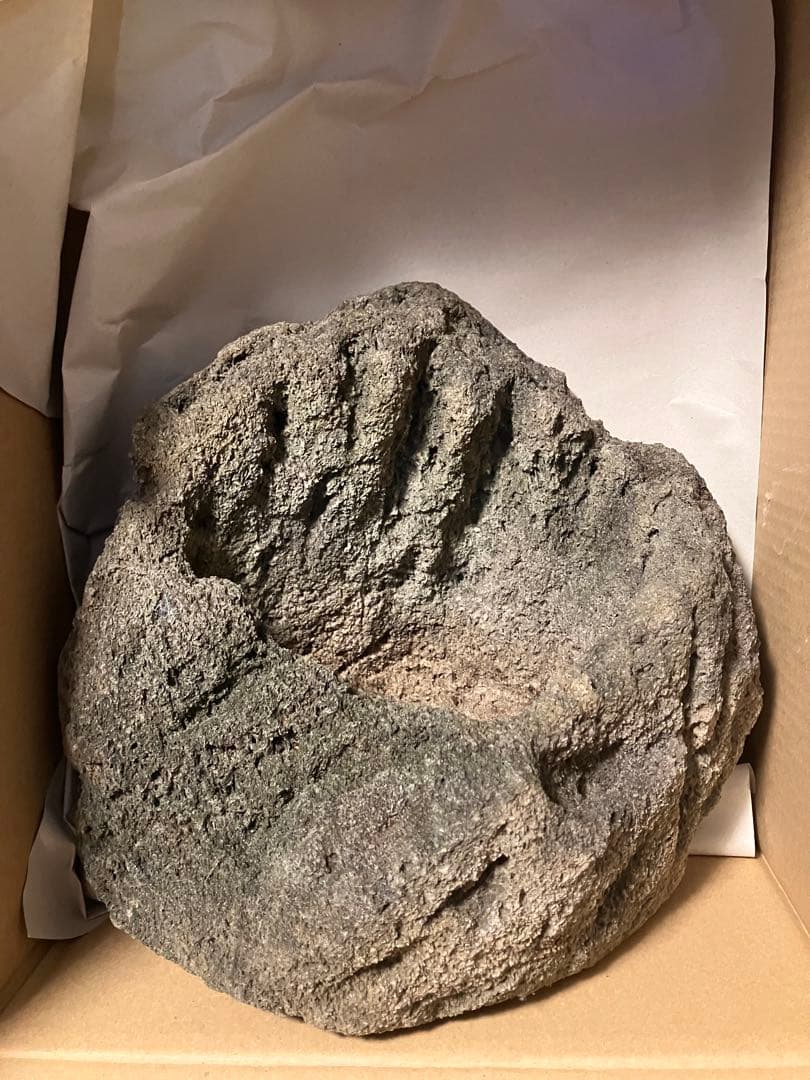 山渓鉢　希少　ガーデニング　苔　山野草　盆栽　多肉植物　テラリウム　溶岩石