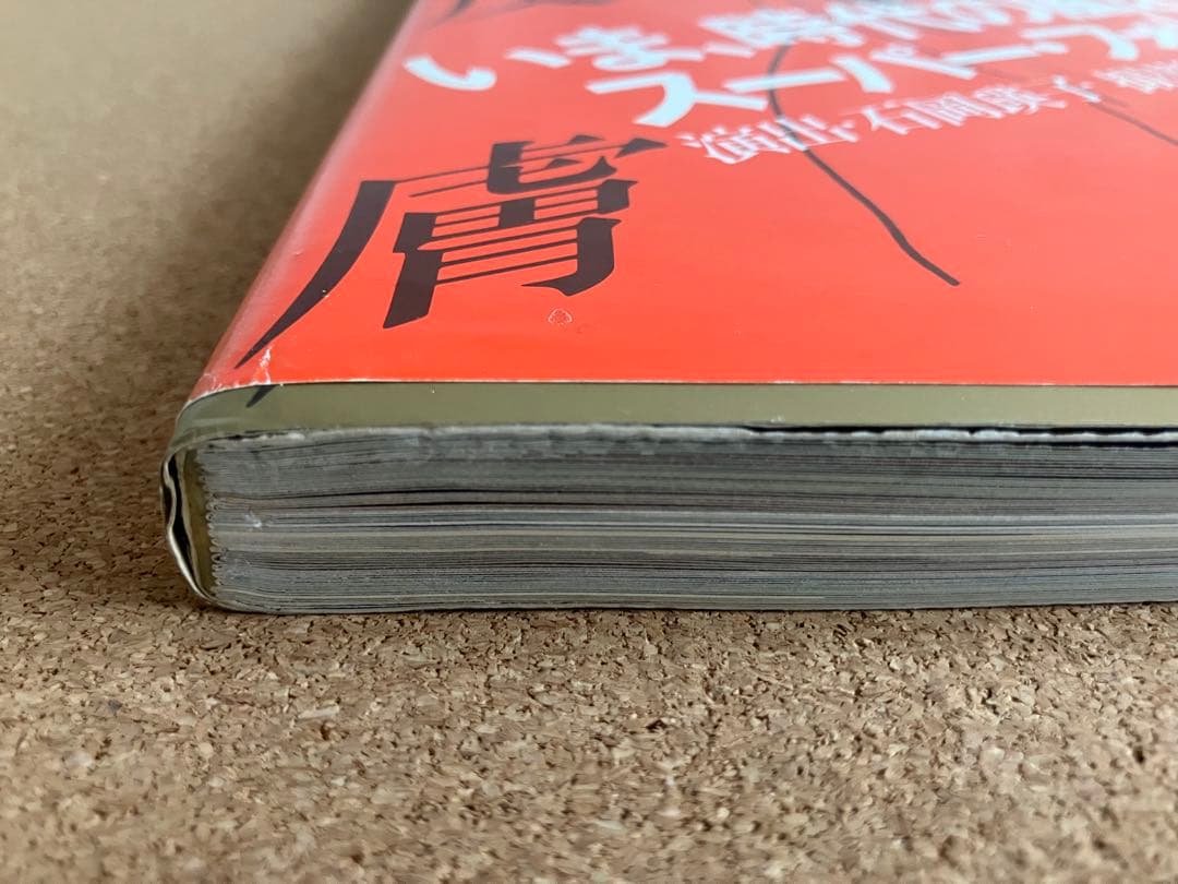 【再値下げ】⭐︎絶版⭐︎水の皮膚 沢田研二 写真集