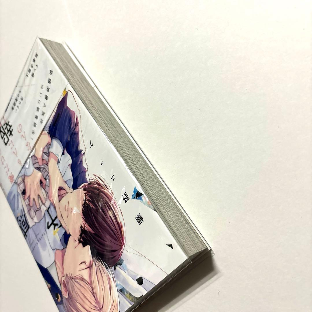 7点セット 体感予報 鯛野ニッケ