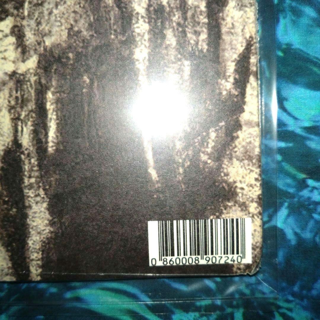 洋楽 Dogsbody /Model/Actriz