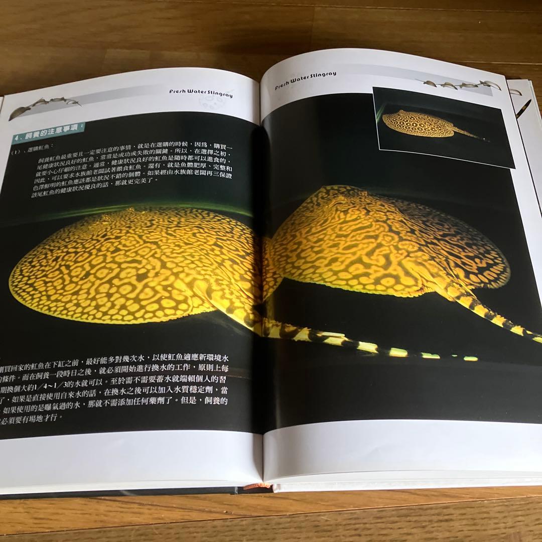 ARRAIA 淡水エイの本
