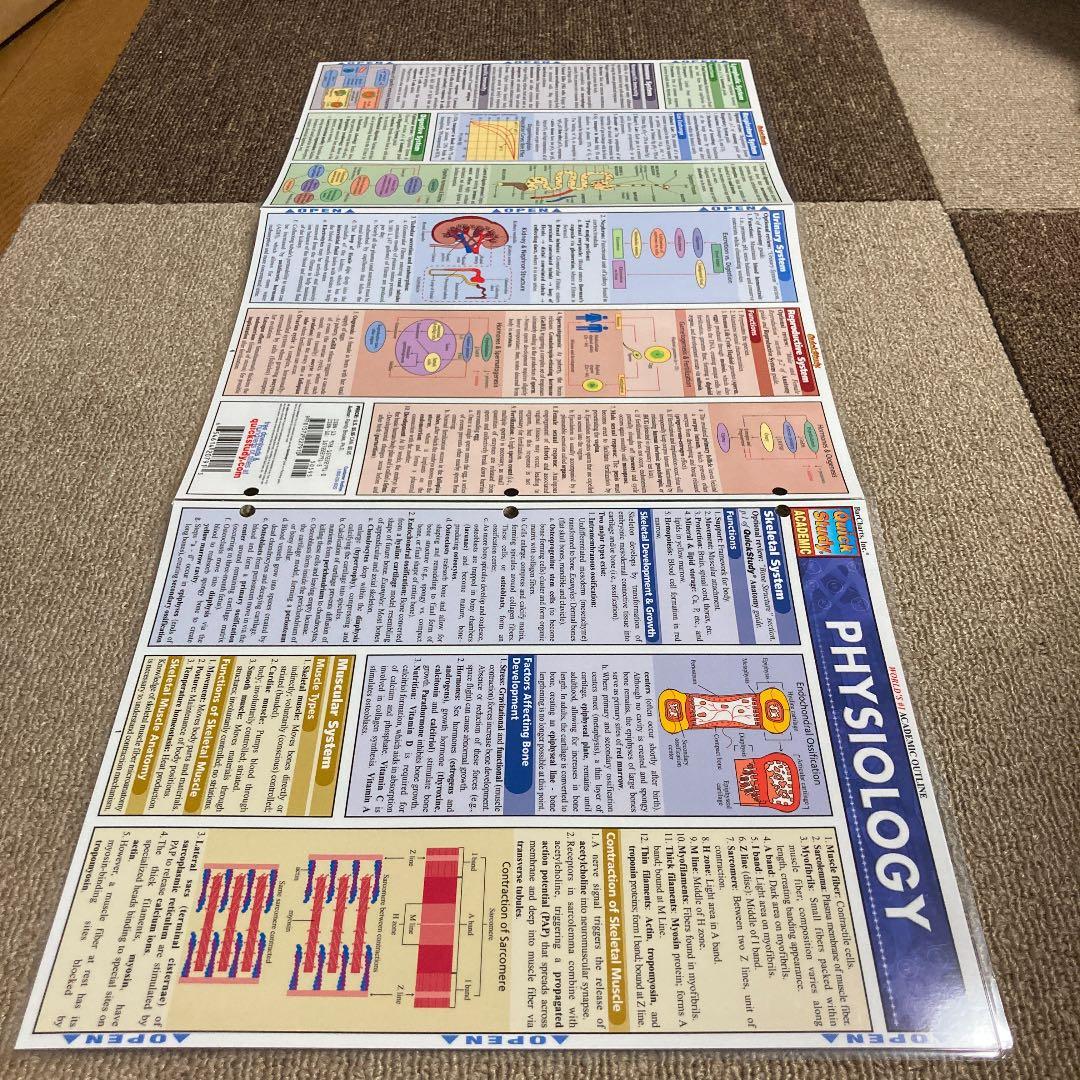 PHYSIOLOGY Quick Study Academic 生理学