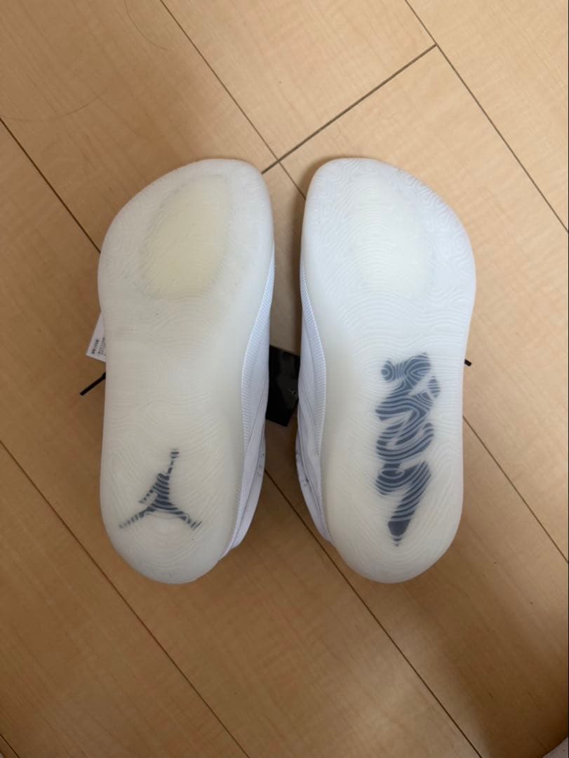 う*ん様 Nike Jordan Zion 4