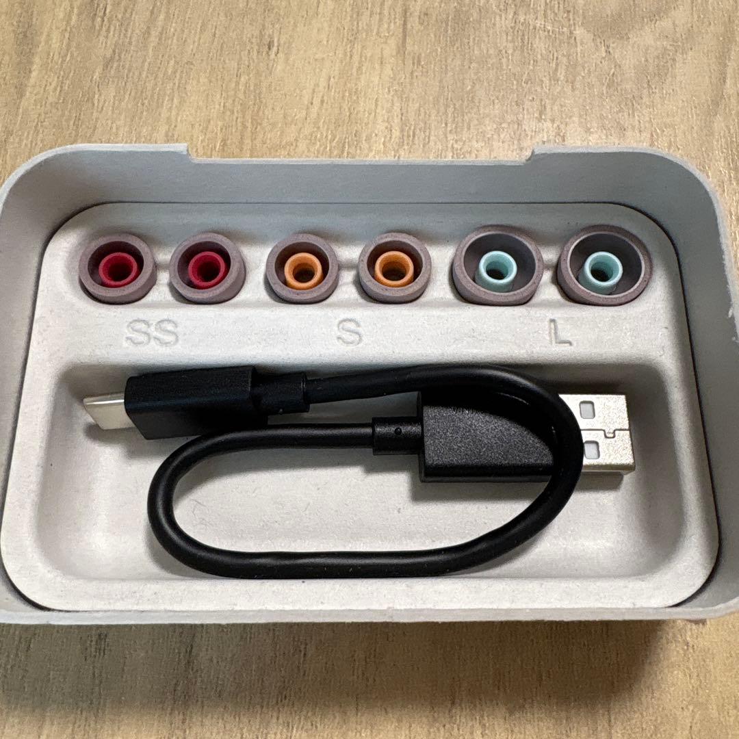 SONY Bluetooth イヤホン WF-1000XM5