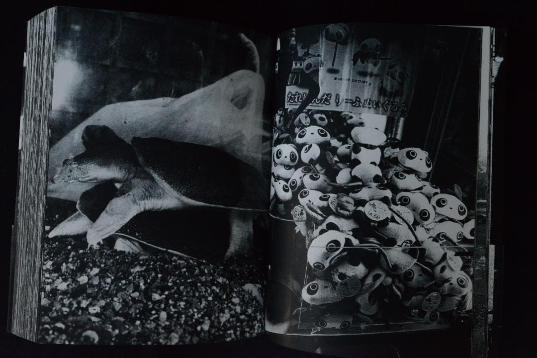 【森山大道：新宿/Daido Moriyama:Shinjuku】★美品