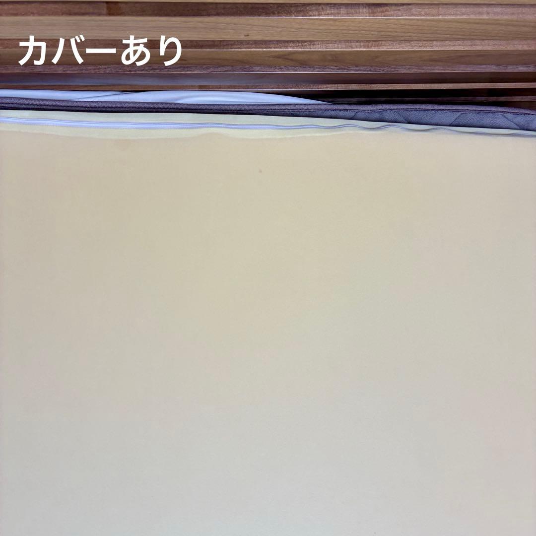 トゥルースリーパー プレミアム マットレス ダブル 5cm 1年使用・へたり極少